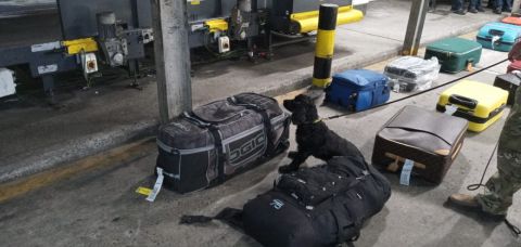 PF realiza ação de combate a entorpecentes no Aeroporto Internacional de Salvador