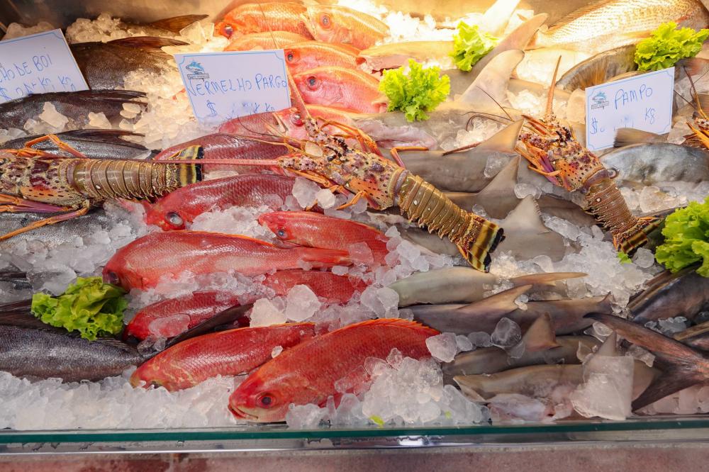Mercadão da Bahia oferece opções diversificada para a compra de frutos do mar e carnes especiais
