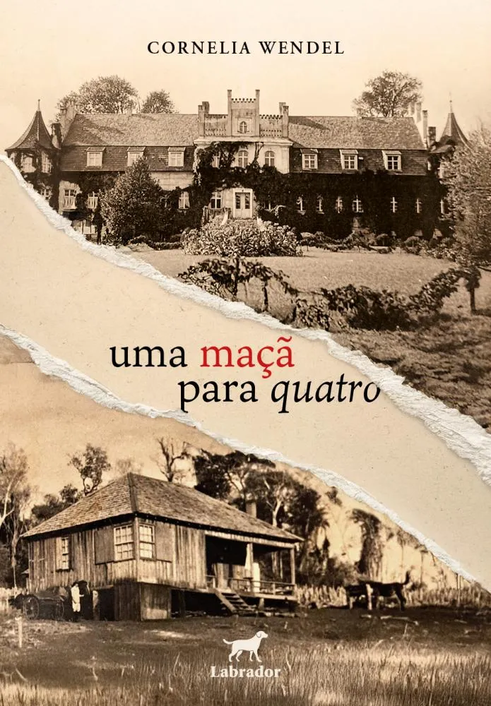 Médica paranaense escreve livro que mescla memória, trauma e herança emocional