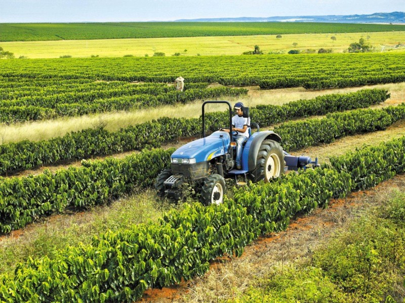 Exportações do agronegócio mineiro mantêm crescimento e registram novo recorde