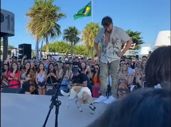 Cadela rouba a cena e interrompe show de Gustavo Mioto em Florianópolis