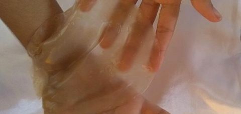 Estudantes de Ilhéus utilizam planta aquática para desenvolver bioplástico