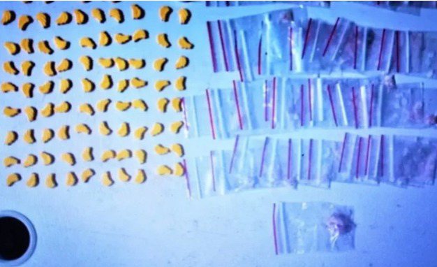 Casal que transportava drogas para festa é preso