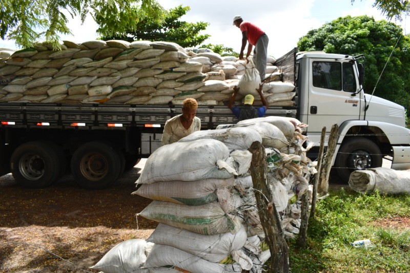 Prefeitura realiza distribuição de adubos em comunidades de Alagoinhas