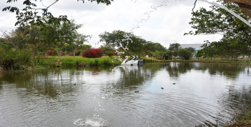 Parque da Lagoa recebe novas espécies de animais