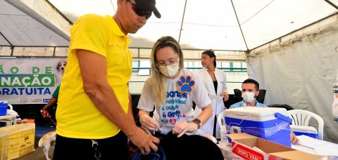 Mutirão de vacinação em Salvador protege mais de 1,4 mil cães contra dez doenças