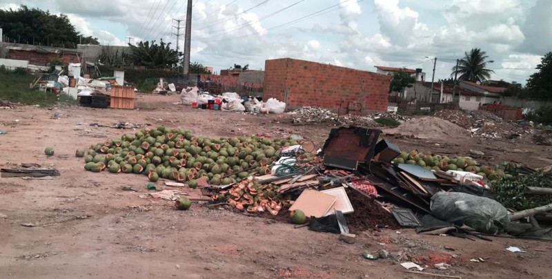Recolhidas 40 toneladas de cascas de coco em um único dia de janeiro