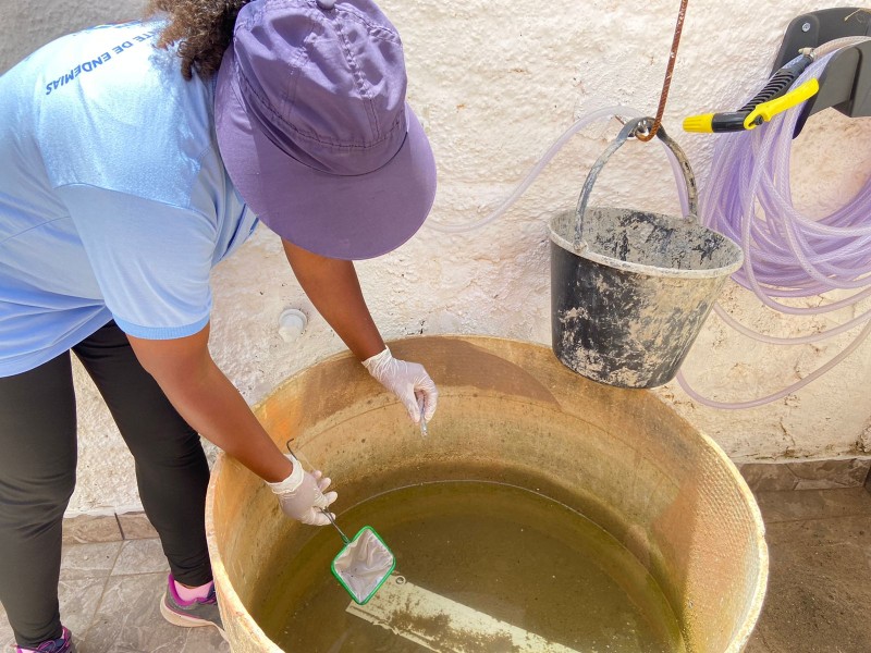 Índice de infestação do Aedes aegypti tem aumento na cidade e Prefeitura aumenta ação de bloqueio com larvicida