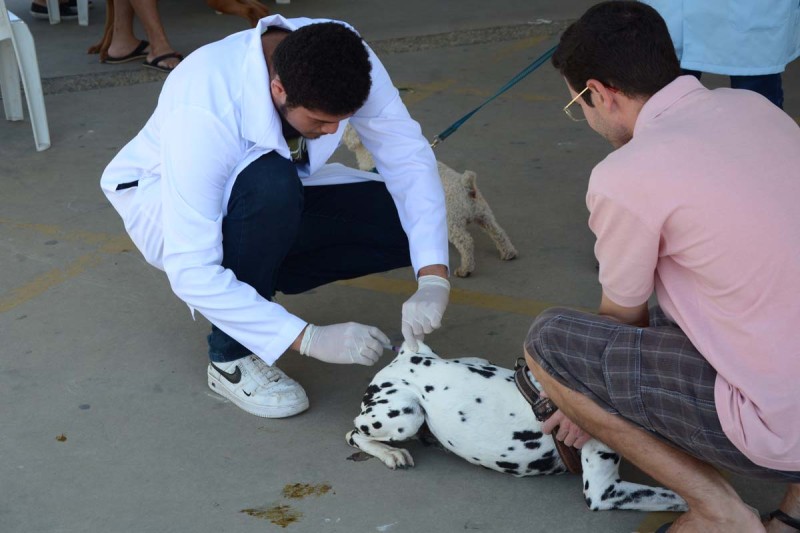 SMS orienta população para prevenção da raiva. Doença foi detectada em animais silvestres na região Oeste
