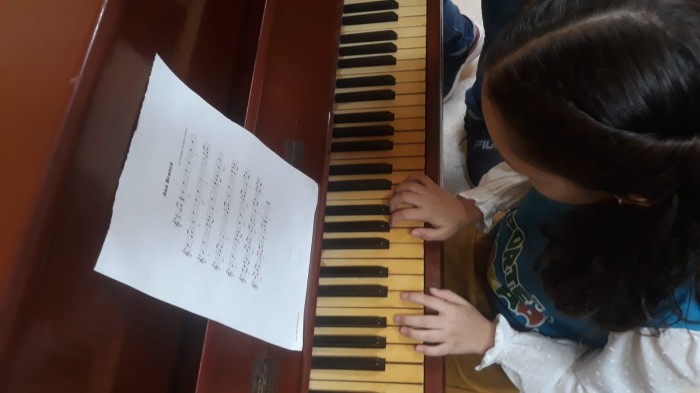 Parque Dom Aloísio Lorscheider oferta aulas de música gratuitas para todas as idades, em Fortaleza