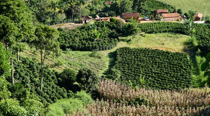 Epamig realiza workshop sobre Indicadores de Sustentabilidade em Agrossistemas (ISA)