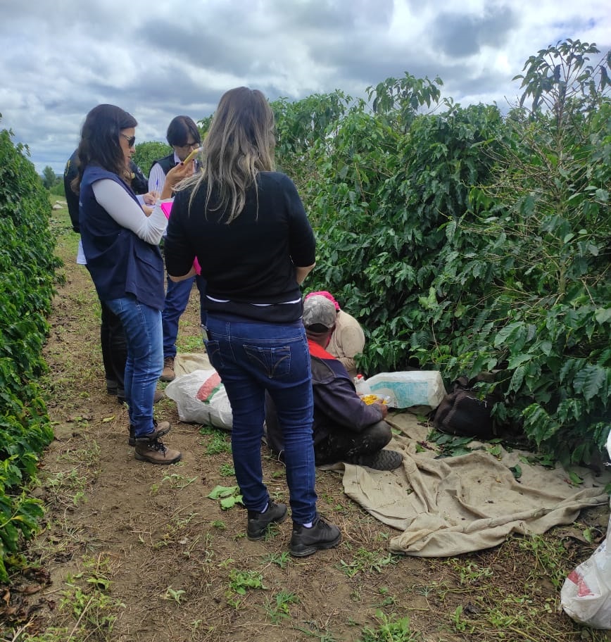 25 trabalhadores são resgatados em situação precária em fazenda de café na região de Encruzilhada, Sudoeste da Bahia