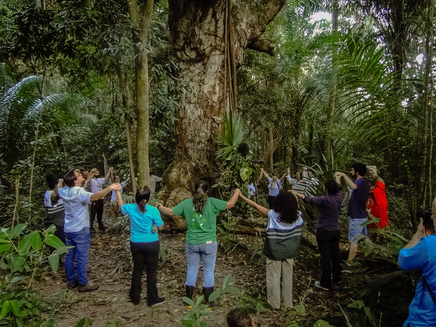 Parque Ecológico do Vale Encantado, em Salvador, recebe título da Unesco