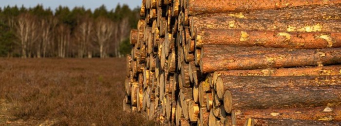 Exportações do agro mineiro alcançam US$ 7 bilhões no 1º semestre de 2023 