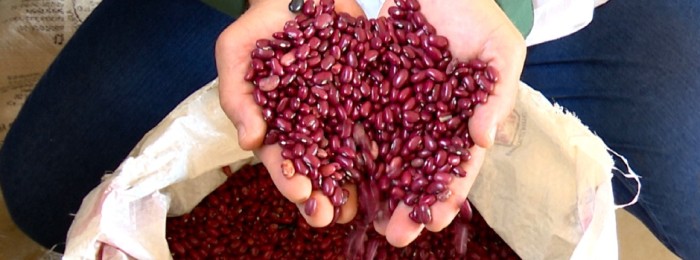 Cooperativa alavanca fornecimento de alimentos da agricultura familiar para escolas de Ouro Preto