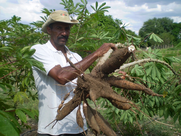 Começam as inscrições para 50 vagas em lotes da reforma agrária em Canudos e Sítio do Quinto