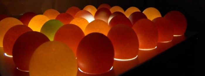 Ovos coloridos enriquecem a merenda escolar em Rio Piracicaba, na região Central de Minas