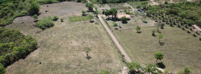 Palmatech 2023 e VI Congresso de Palma são encerrados em Montes Claros